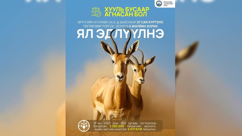 Ужесточение наказания за незаконную охоту на джейрановв Монголии